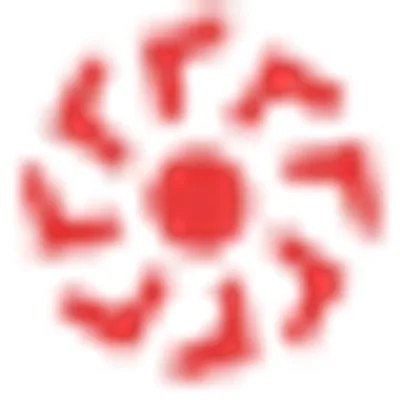 Shree Export