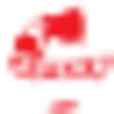 Afsar Exports