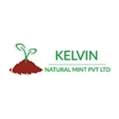 Natural Mint Exports